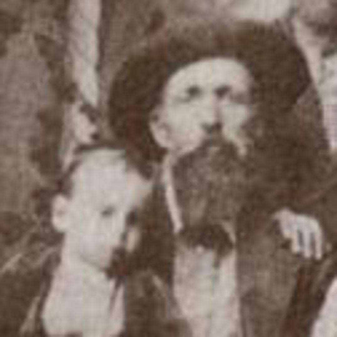William Lorenzo Marble (1829 - 1916) Profile